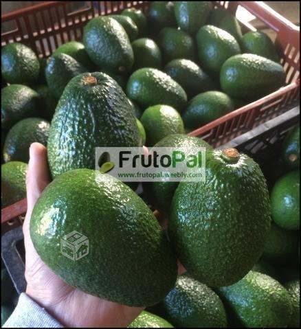 Palta Hass por mayor - Frutopal