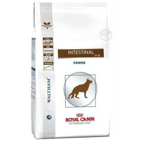 Royal Canin Gastrointestinal 10 kg y envio gratis