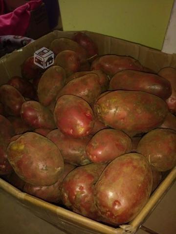 Papas nuevas de osorno