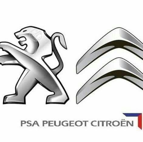 Servicio mecanica y scanner citroen y peugeot