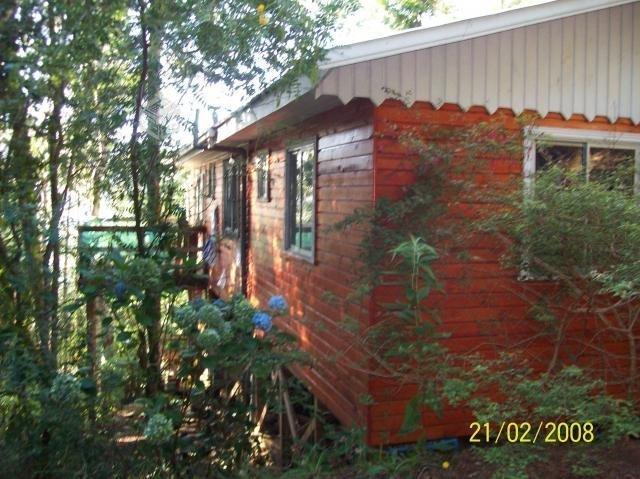 casa con lancha y arboles nativos