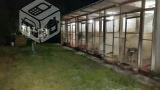 Hotel canino chocoa en malloco