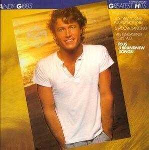 Vinilo LP Andy Gibb - Grandes Exitos 1980