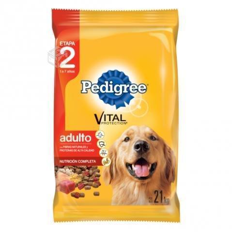 Pedigree adulto