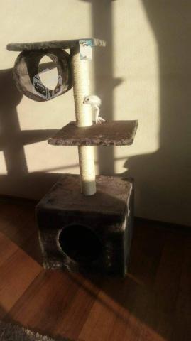 Rascador Gris con casa,Para Gatos 93 Cms De Altura