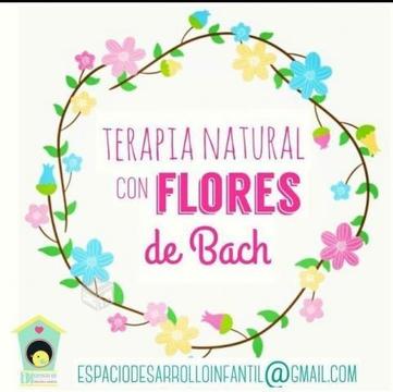Terapia Natural Con Flores De bach