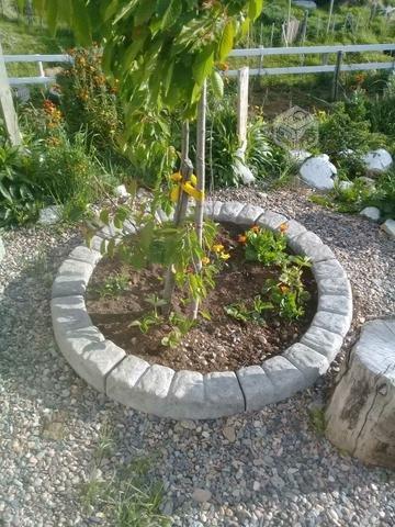 Maceteros de hormigón circular para jardines o pla