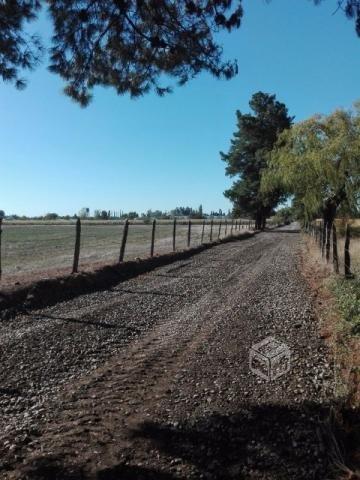 HERMOSO SITIO sect. ST. SCHOENSTATT.Chillan Viejo