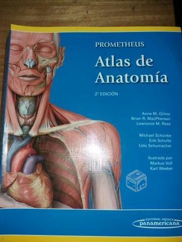 Atlas de Anatomía humana prometheus