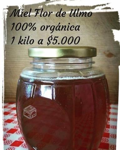 Miel flor de Ulmo 100% orgánica