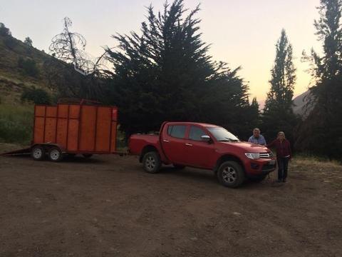 Fletes transporte de caballos y ganado