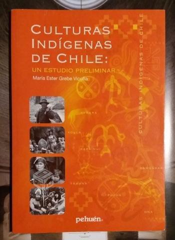 Culturas Indígenas de Chile: un estudio preliminar