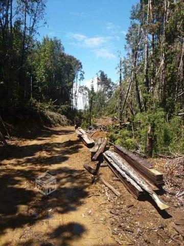 Campo 5.76 hectáreas