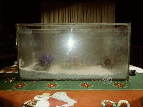 Acuario se vende