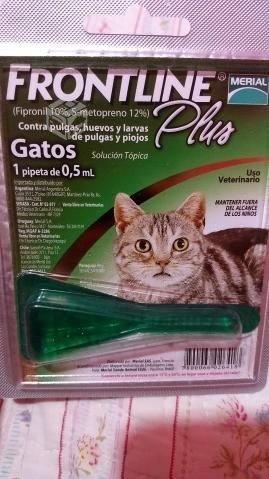 Pipeta para gatos