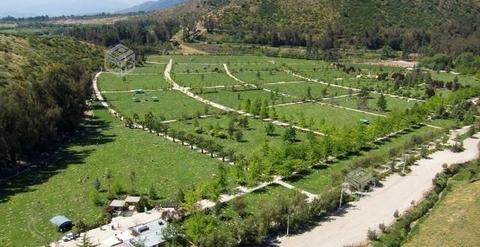 Sepultura nueva en Cementerio Parque Cordillera