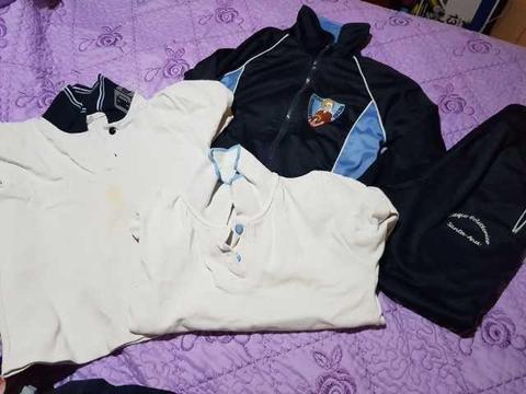 Uniforme colegio santa ana