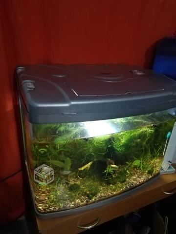 Vendo acuario