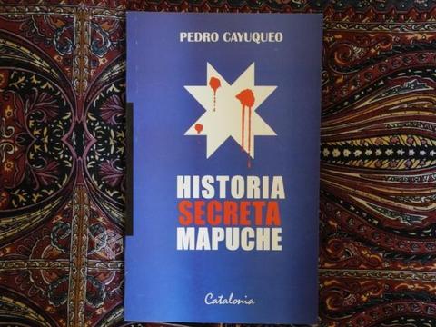 Historia secreta mapuche, Pedro Cayuqueo