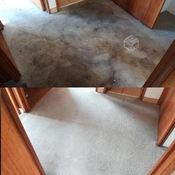 Lavado de alfombras